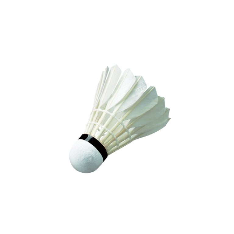BADMINTON SHUTTLECOCK WISH TRAINING W11 Swiftflyte Online